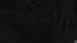 Emily Pink - Infinite Desire 01 04 2026